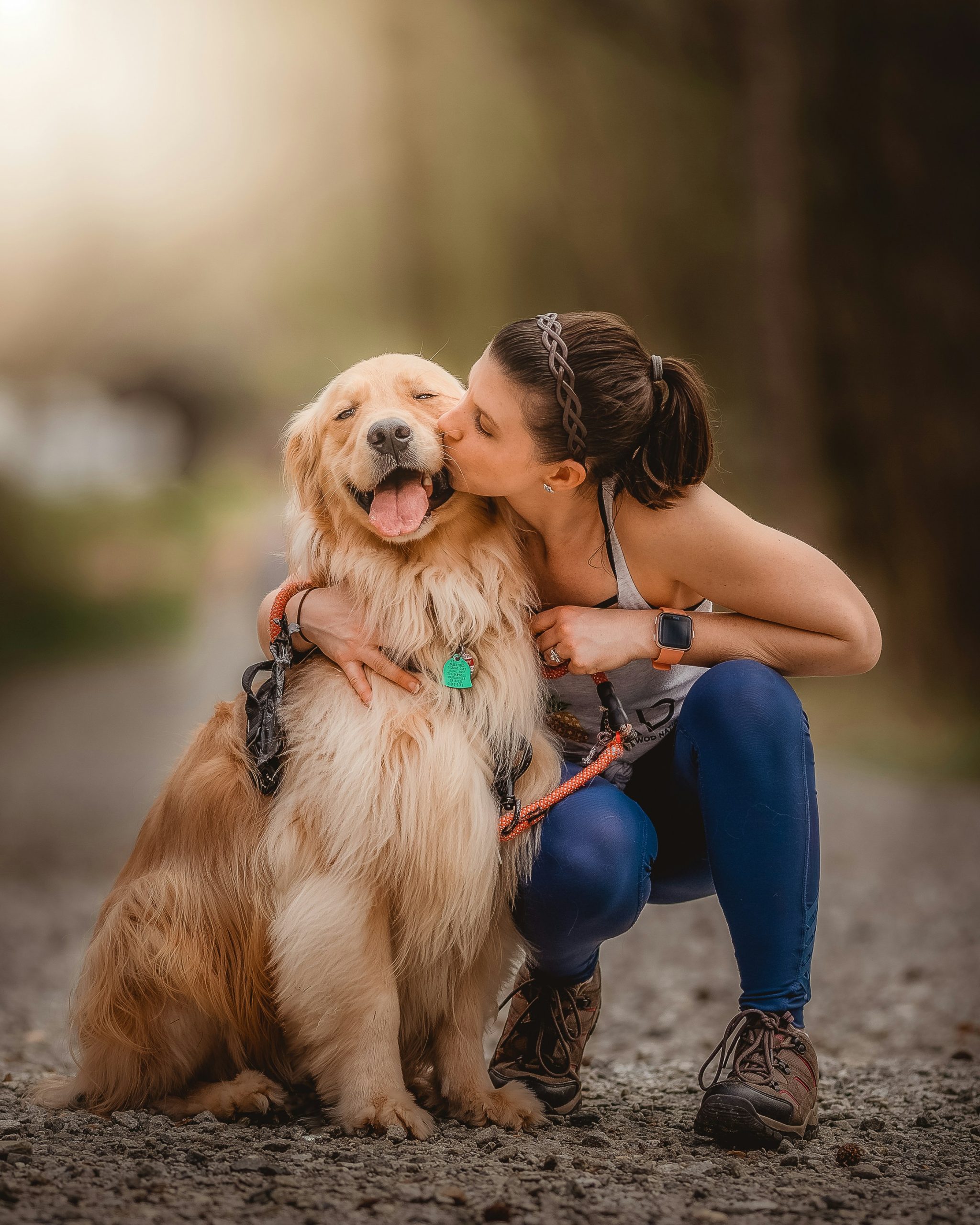 Rekordeinnahmen aus der Hundesteuer